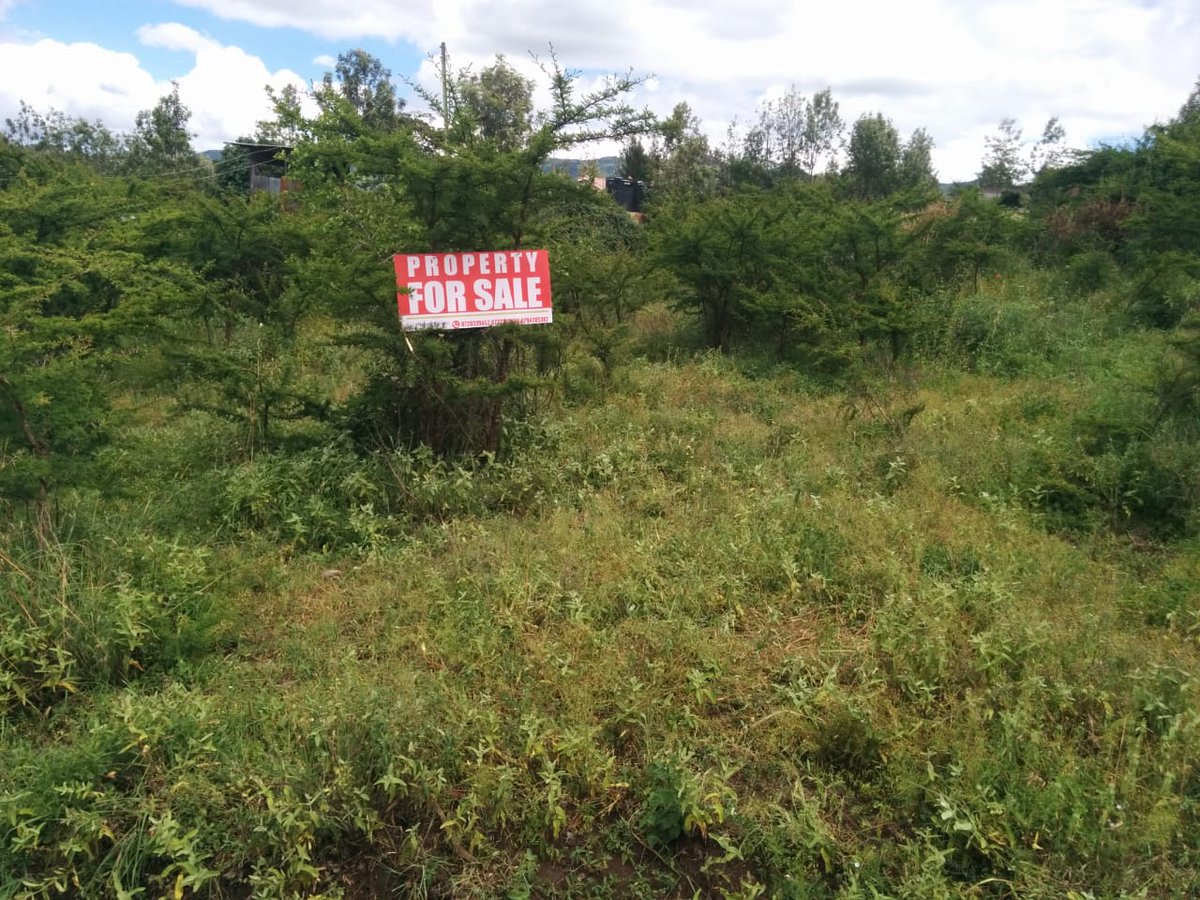 SVL_Ke's tweet photo. PRIME 50 by 100 PLOT FOR SALE LOCATED IN RONGAI-NKOROI. ASKING PRICE: KSHS. 3M For more information contact us on +254 720 339 457 | 722 295 694 | 794 205 382 #airbnb #CCTV #shaffieweru #ndindinyoro #baba #EPRA #Gachagua https://t.co/rEILCHiJuT