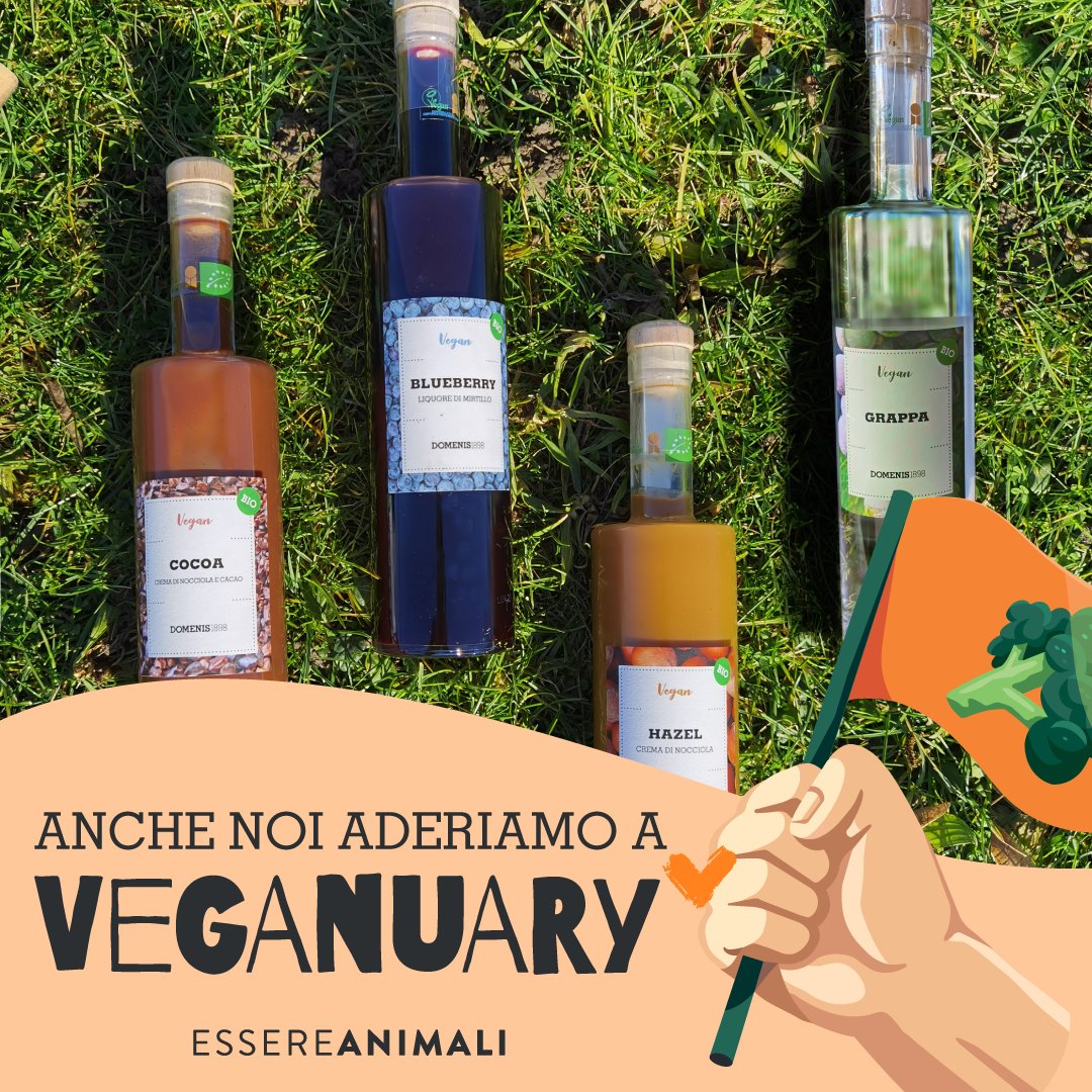 Stay vegan! Abbiamo aderito al Veganuary in questo mese di gennaio con la nostra linea di liquori e vegan grappa! 

#lovevegan #lineavegan #madeinitaly #stayvegan #veganuary2024 #DOMENIS1898 #veganuary @essereanimali @ioscelgoveg