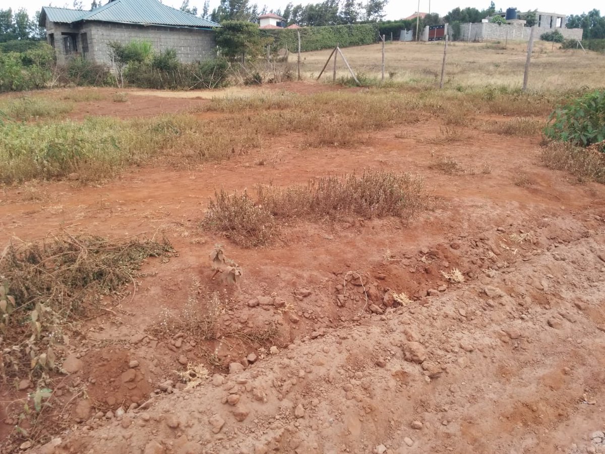 SVL_Ke's tweet photo. 100x100 prime plot for sale at Matasia, Kajiado County. Asking Price, Kshs. 3m For more information contact us on +254 720 339 457 | 722 295 694 | 794 205 382
#airbnb #CCTV #shaffieweru #ndindinyoro #baba #EPRA #Gachagua https://t.co/xFEETbtDlf