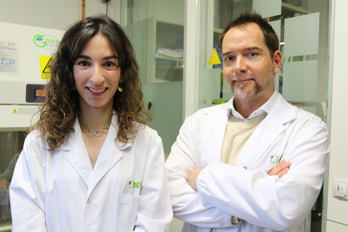 IBECBarcelona's tweet photo. CAT
📢 Aquests nanorobots aconsegueixen reduir en un 90% els tumors de bufeta!

L'estudi, realitzat en ratolins i liderat per l'#IBEC i el @CICbiomaGUNE, obre la porta a tractaments més eficients contra el càncer de bufeta.

👉Llegeix la notícia: https://t.co/2r9zJiKze3 https://t.co/EOh3ztWrAR