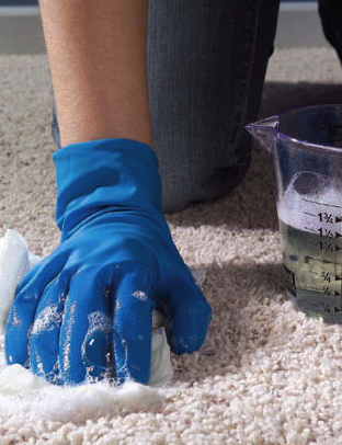 WOW Carpet Cleaning Adelaide offers top-notch carpet cleaning services, leaving your carpets spotless and fresh. Our expertise extends to cleaning area rugs, ensuring every inch is pristine. Trust us for a cleaner, healthier home. #WOWCarpetCleaning #CleanCarpets #AreaRugCleaning