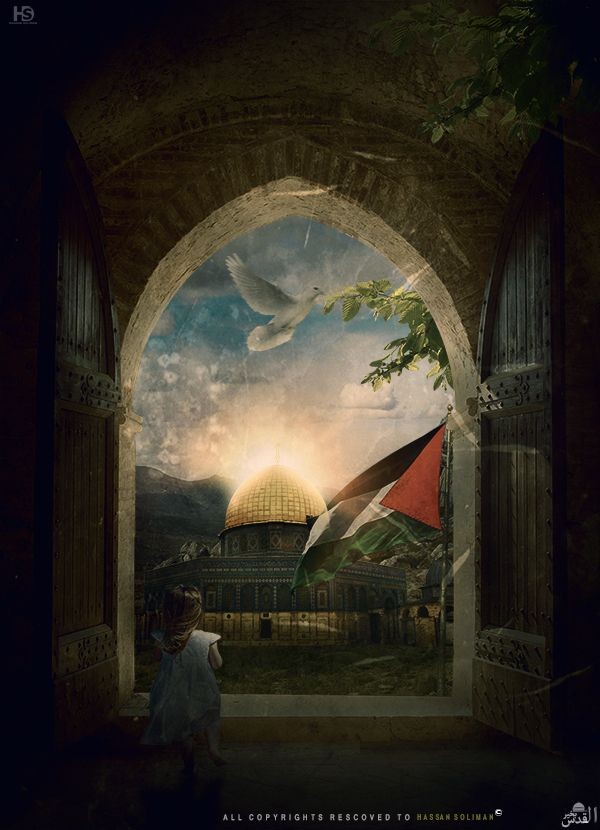 RayemReem's tweet photo. "The day the power of love overrules the love of power, the world will know peace"- Mahatma Gandhi" #100daysofwar #PeaceForGAZA 🇵🇸 Have a nice week! https://t.co/JTqRjhuhMO