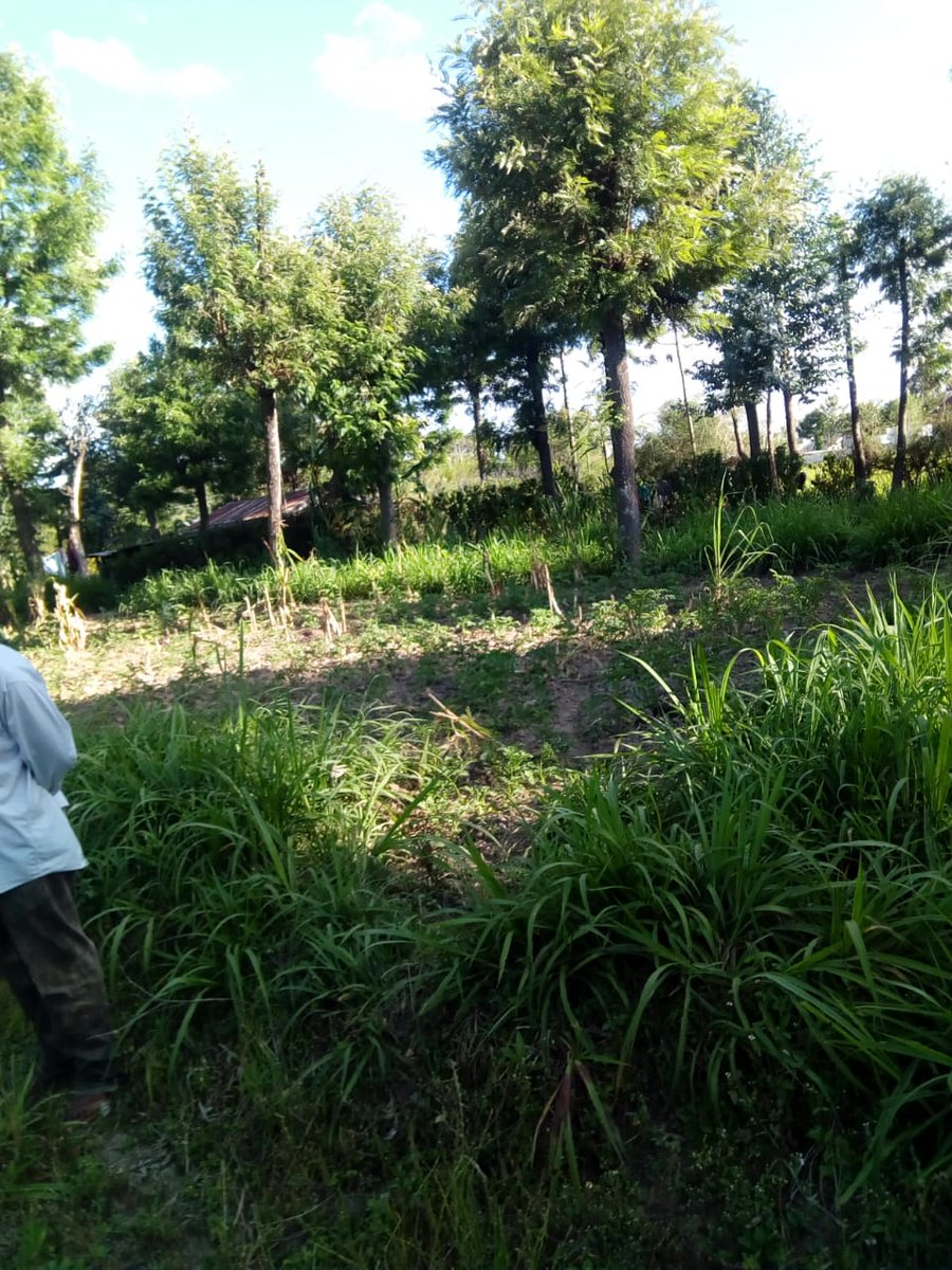 SVL_Ke's tweet photo. Prime Half Acre located in Nyahururu, Asking price: Kshs. 4.5M More information contact us on +254 720 339 457 | 722 295 694 | 794 205 382 #airbnb #CCTV #shaffieweru #ndindinyoro #baba #EPRA #Gachagua https://t.co/oOxjpcx7EQ