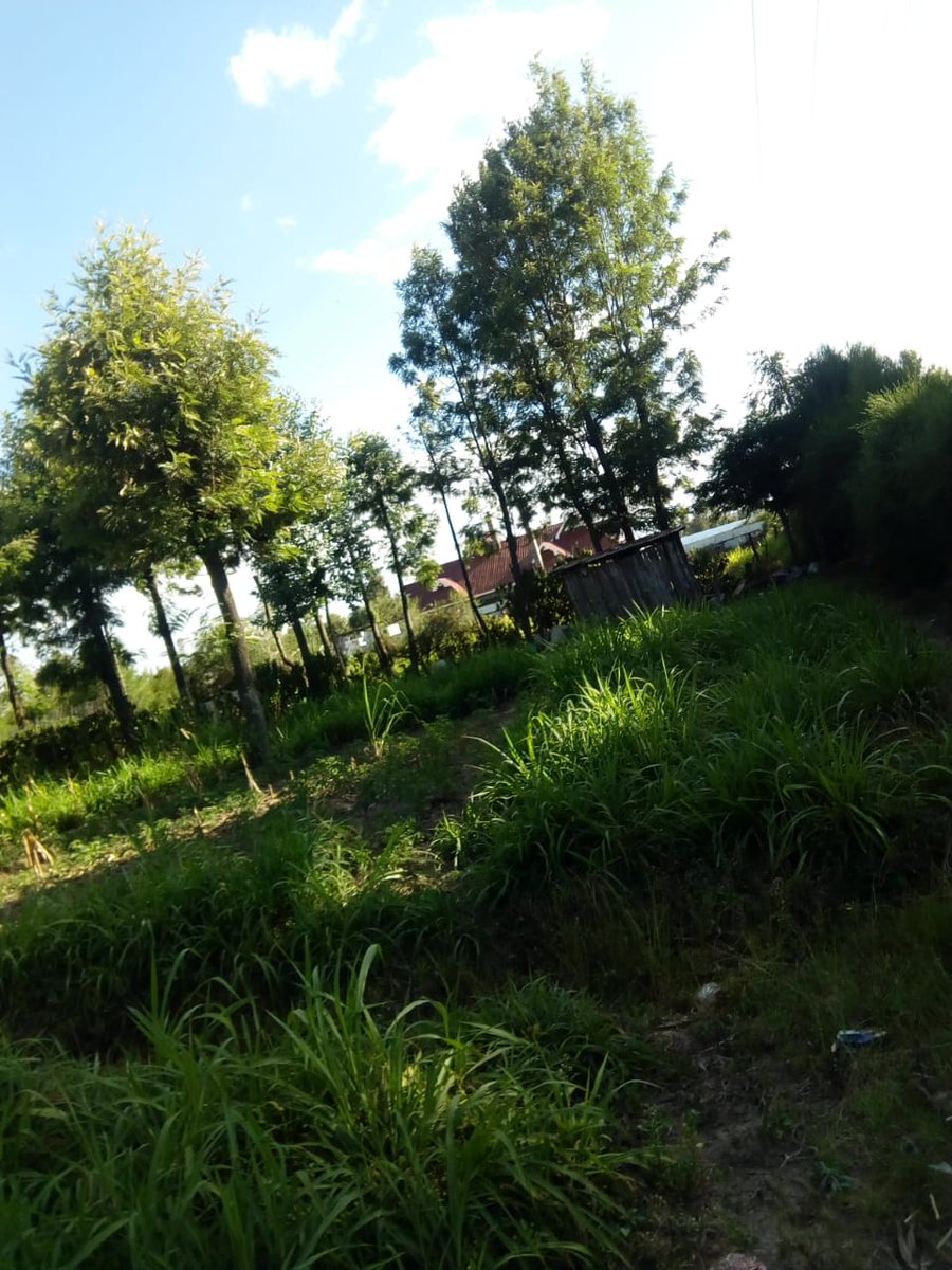 SVL_Ke's tweet photo. Prime Half Acre located in Nyahururu, Asking price: Kshs. 4.5M More information contact us on +254 720 339 457 | 722 295 694 | 794 205 382 #airbnb #CCTV #shaffieweru #ndindinyoro #baba #EPRA #Gachagua https://t.co/oOxjpcx7EQ