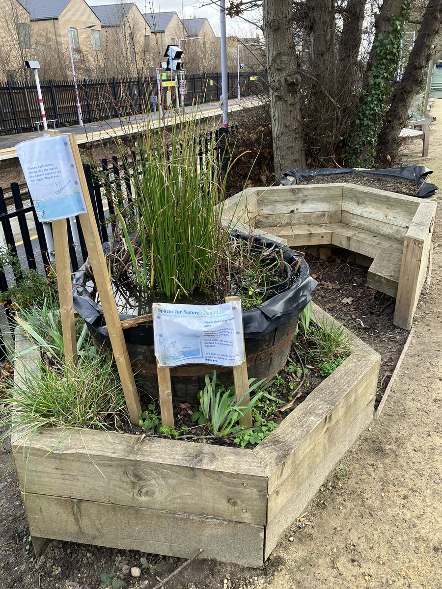 JaneCanDoSE4's tweet photo. Just year ago work began on the fab @CroftonGarden to transform middle area from redundant planters to pond &amp; seating AND sloping bank that couldn’t be used to reclaimed/retained wall &amp; area levelled with wooden train🚂stepping stones &amp; large bug wall-now so popular with families https://t.co/JcSXrIPiBE
