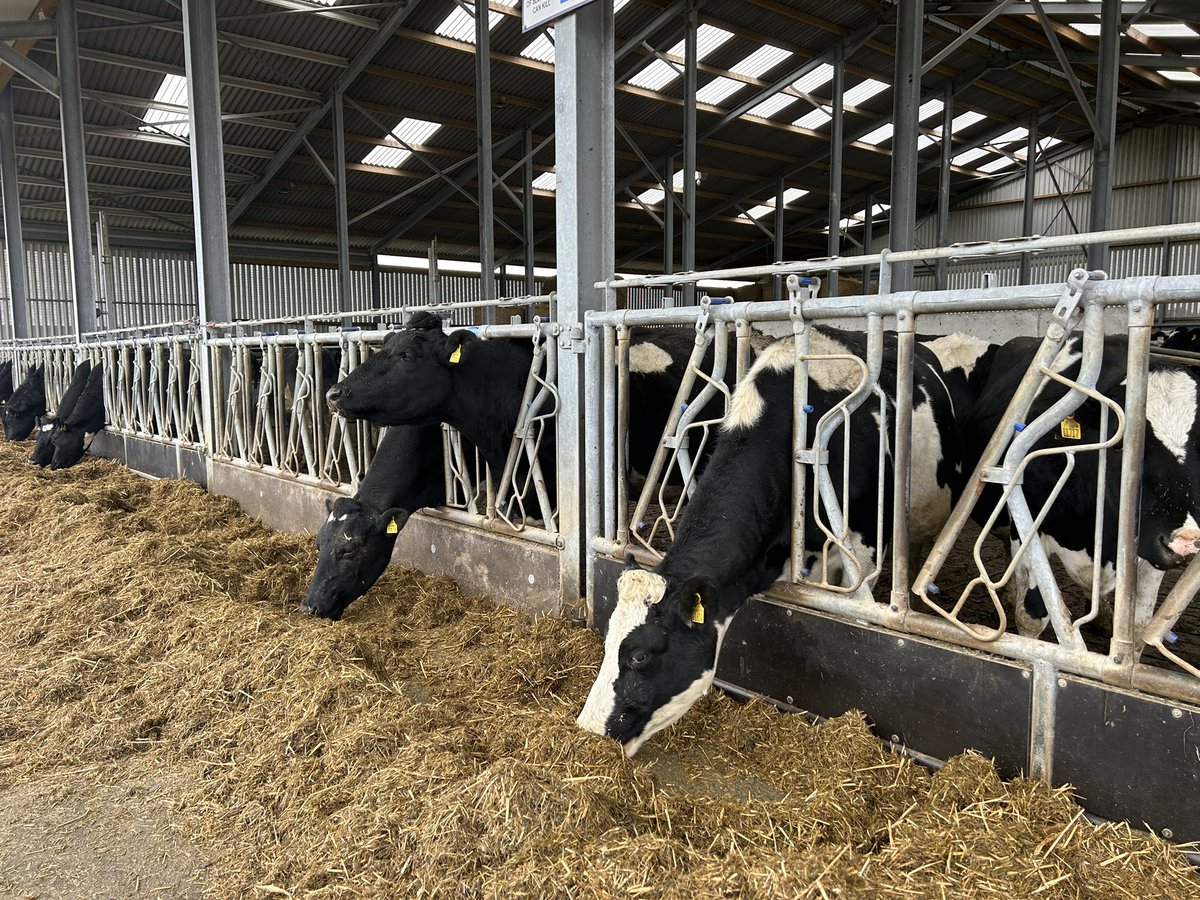 GOAL NextGen (@goalnextgen) on Twitter photo On Saturday, #NextGen Youth member <a href="/nethan95/">Sarah Nethan</a> visited a dairy farm in #Tipperary and interviewed young farmer, Michael, about climate change and farming in Ireland.
1/2
<a href="/GOAL_Global/">GOAL Global</a> <a href="/Irish_Aid/">Irish Aid</a> #NextGen On Saturday, #NextGen Youth member <a href="/nethan95/">Sarah Nethan</a> visited a dairy farm in #Tipperary and interviewed young farmer, Michael, about climate change and farming in Ireland.
1/2
<a href="/GOAL_Global/">GOAL Global</a> <a href="/Irish_Aid/">Irish Aid</a> #NextGen