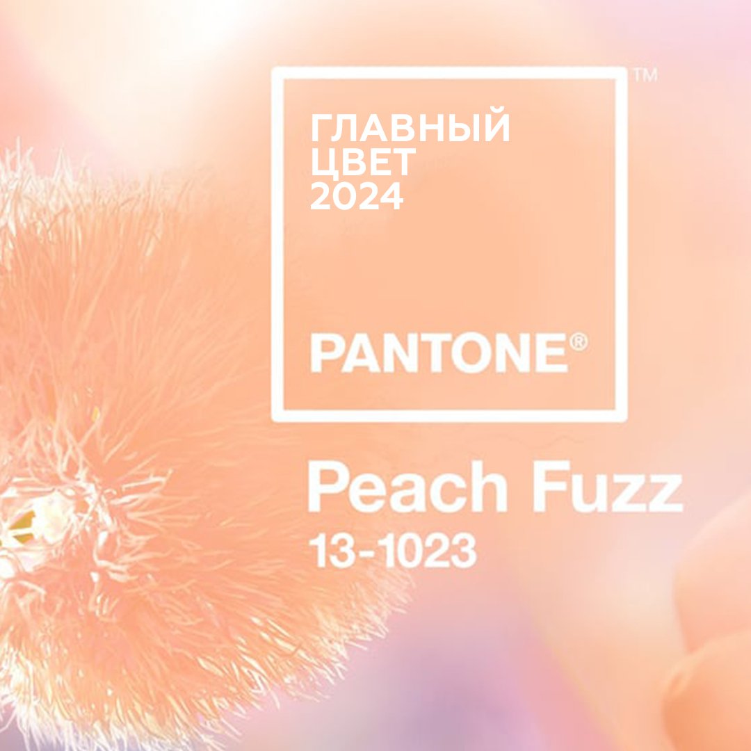 hc_leipzig's tweet photo. Целых 25 лет институт Pantone выбирает главный цвет года. В 2024 им стал – «Персиковый пух». Он олицетворяет внутреннее спокойствие и доброжелательное отношение к окружающим, призывая нас стать более внимательными к духовным ценностям.

Добавьте нежные… https://t.co/bpY86zi6lj https://t.co/UWYIJ2OVoK