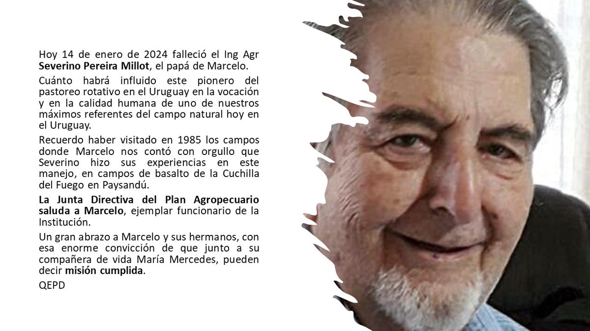 ecarriuy@gmail.com tweet media