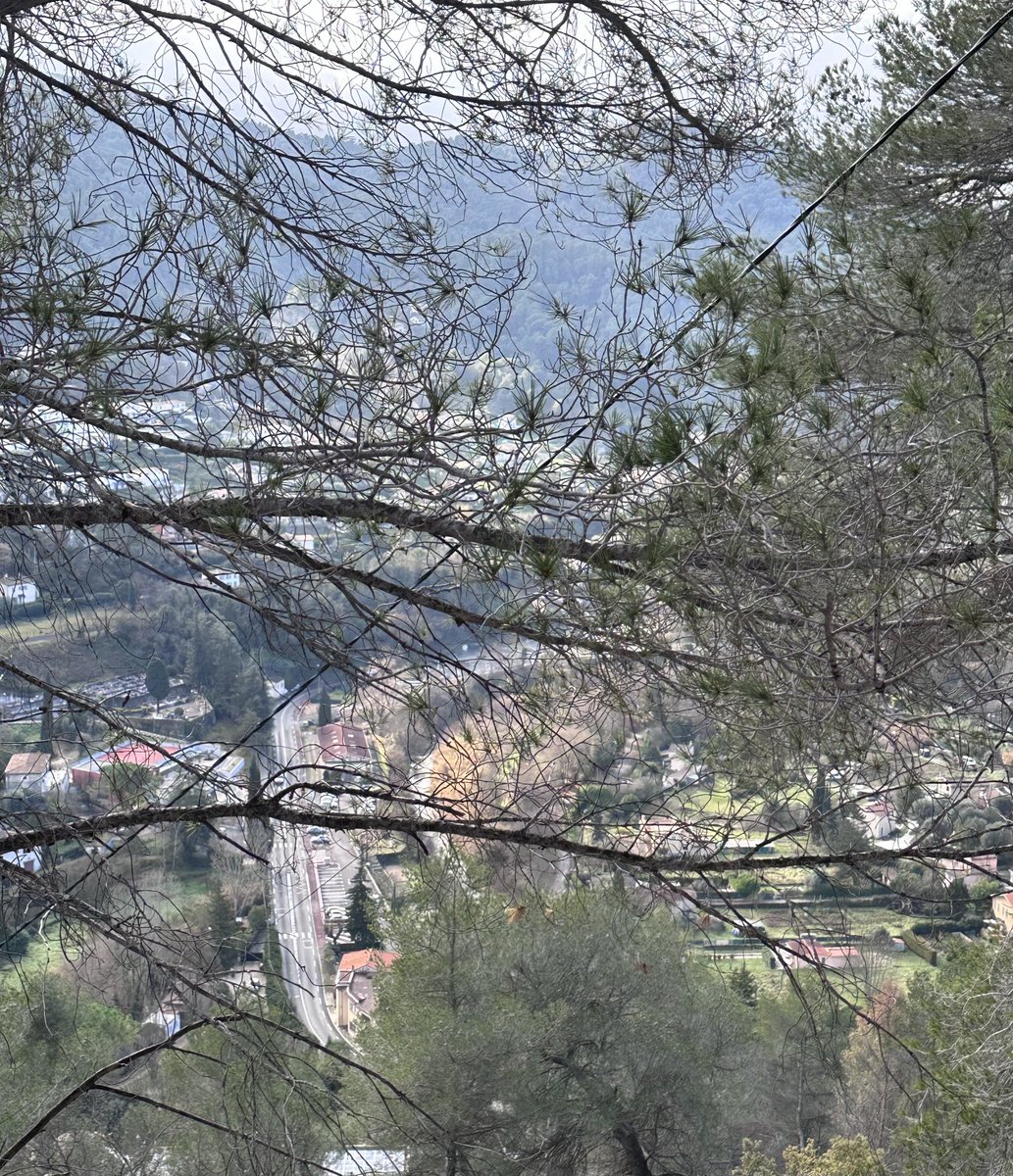 Alonein43672278's tweet photo. #photography #brenches #view https://t.co/t2wF4Xzr6H