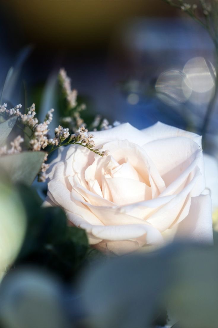 D_WeddingsUg's tweet photo. Some detail wallpaers. 
#happyplanning https://t.co/1v8itt0QD8