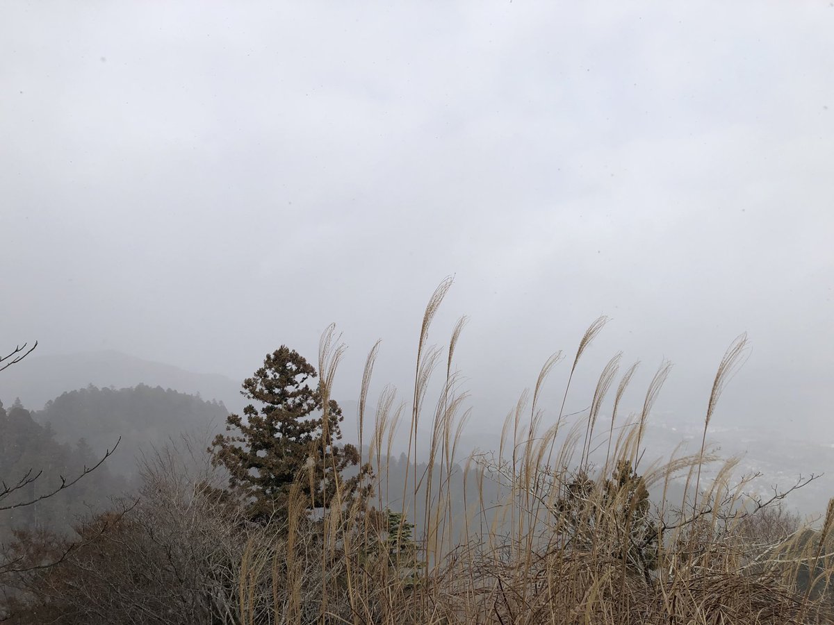 関西方面に向かう途中、比叡山延暦寺に登ってきました。(ケーブルカーで) 中腹までの琵琶湖を臨む眺めと、雪雲に突入してからのお山！ お堂の中も本当に寒かったけど、坐っていると頭スッキリ。 自然の前で人ひとりの力は微々たるものだから、せめて出会った人同士で助け合って生きねばね🙏