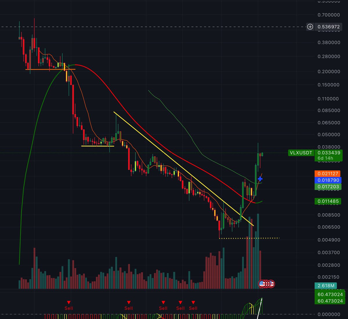 Joan Romaguera tweet media