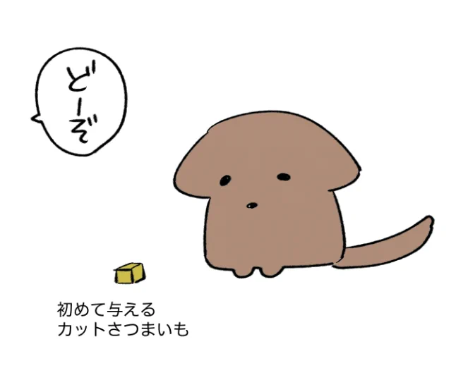 今日の日記。 ・初めて与えるおやつにビビって差し上げた瞬間跳ねた。 ・フリーの状態で💩とおしっこをケージに戻ってトレーの上でこなす(軽3回の快挙) #あつしからあげ日記