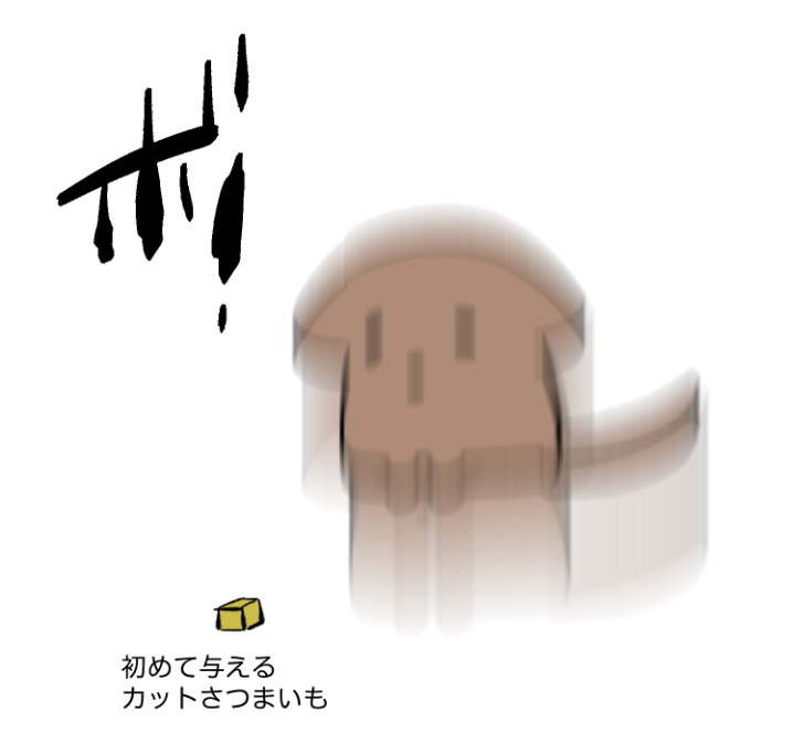 今日の日記。 ・初めて与えるおやつにビビって差し上げた瞬間跳ねた。 ・フリーの状態で💩とおしっこをケージに戻ってトレーの上でこなす(軽3回の快挙) #あつしからあげ日記