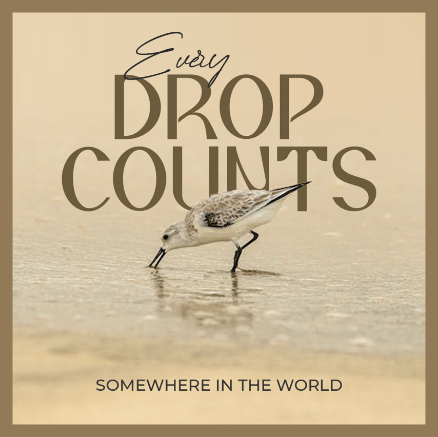 Melanieauthor_'s tweet photo. Every single drop, no matter how small, holds immense importance in the grand scheme of our world. Let's appreciate the value of each and every thing.

Available soon!

#Inspiration #TakingRisks #ForeignMissions #SingleWomanFaith #RelationshipWithGod #Faith #Hope #GodPurpose https://t.co/GddBbFBhFL