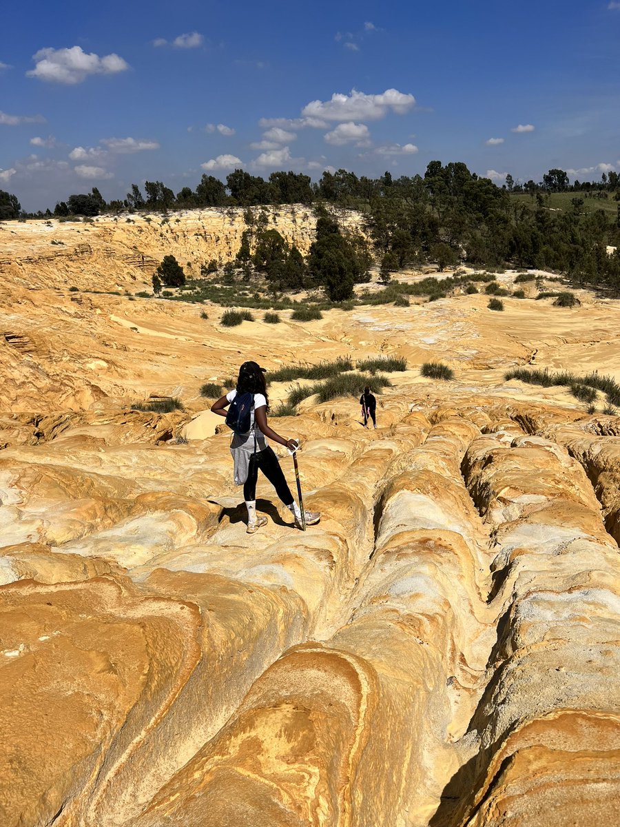 exploresoweto1's tweet photo. Explore the golden dunes of the main reef on a moderate hiking trail of 6.5km. Guided tours starting in Meadowlands are available on Saturdays and Sundays at 6:00, 7:00, 9:00 and 16:00pm

The price per person is R200 and children from 9 years are welcome to join the walk https://t.co/CUy5g7A26D