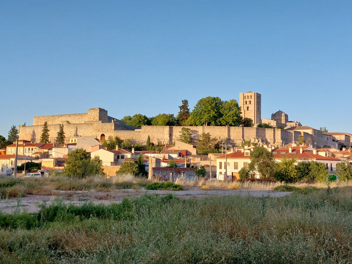 El 24 de enero en la Asociación de Amigos de los Castillos en #Madrid, no solo pasarás un rato agradable en la corte de #AlfonsoXelSabio. También conocerás las murallas preciosas de #Zamora, la Bien Cercada. ¡Nos vemos allí!
castillosdeespaña.es/es/JKKnauss

 #ficciónhistórica #lectura