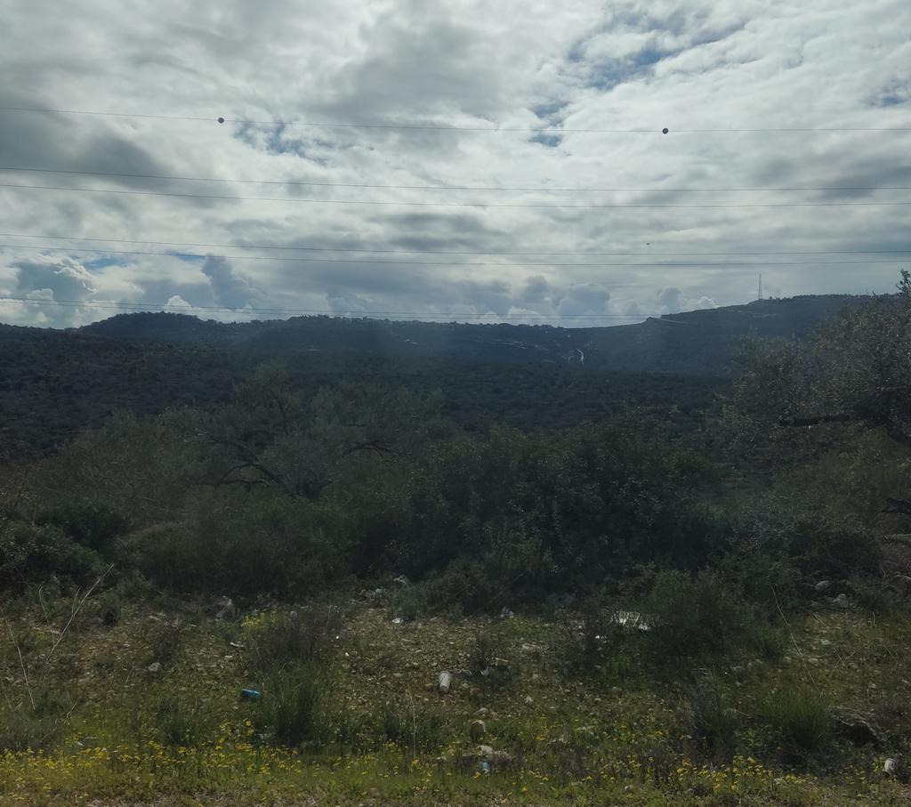 QuzmarAnan's tweet photo. Tulkarem to Ramallah used to take a little over 1hr, though #Anabta #Huwwara.
For 6months, even prior to Oct 7, the trip often takes hrs more.
Over the last 14 weeks an important road between #Sarra & #Huwwara has been permanently closed. This alone adds 1hr average 2the journey. https://t.co/N5s8Nkzw3F