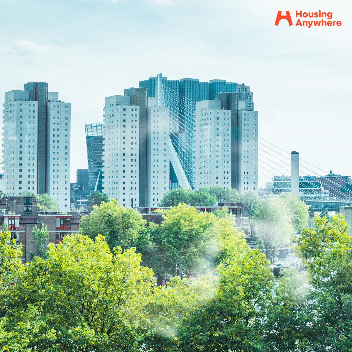 🚀 Internship: Client Success (German Speaker) 🚀
Join us on an exciting internship in our Sales &amp; Supply team of 60. We focus on growing inventory and revenue, fostering a collaborative environment through team-building events. 
bit.ly/3TW2sKD