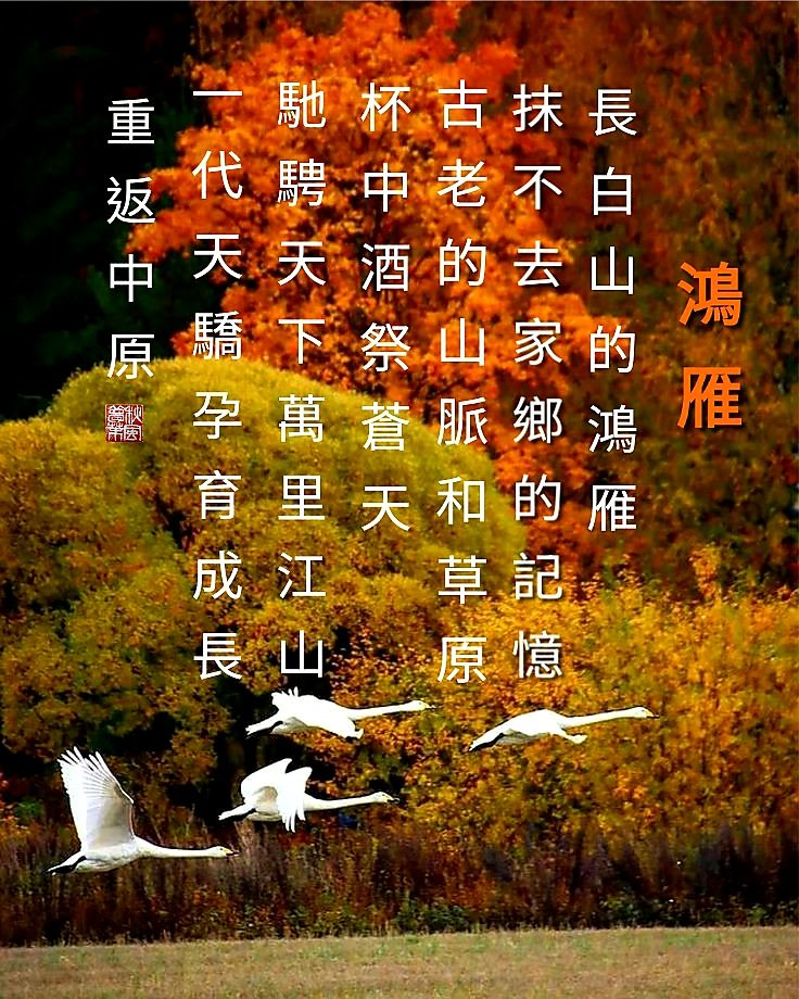 TonyWanyou's tweet photo. https://t.co/Fc0GtmhNtg