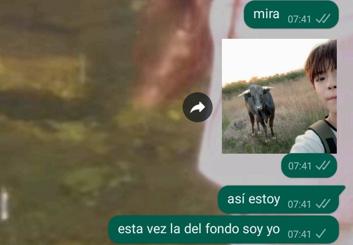 así amanecen las kai biased