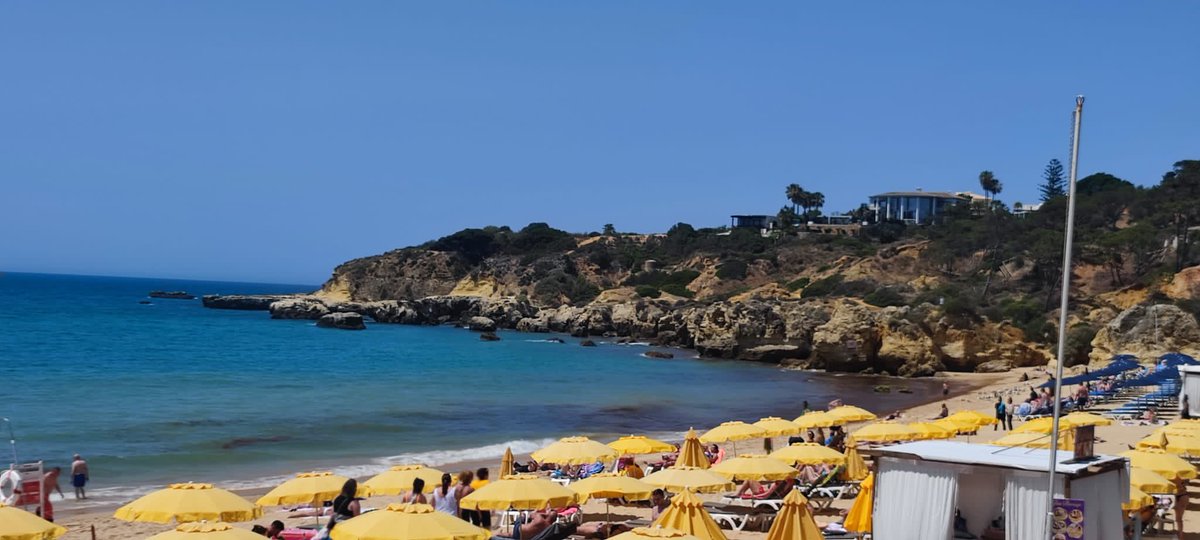 megs🇵🇸 tweet media