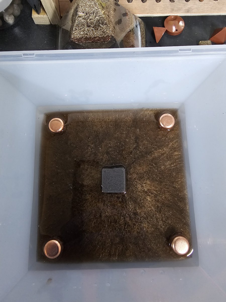 Stomper69UK's tweet image. #Orgonite
#orgonitepyramid
#EMFBlocker
Orgonites made to order and shipped worldwide