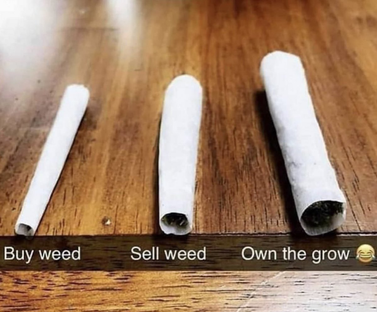 AngelsCannabis's tweet photo. Which one are you? https://t.co/Ef6CTxyEeW