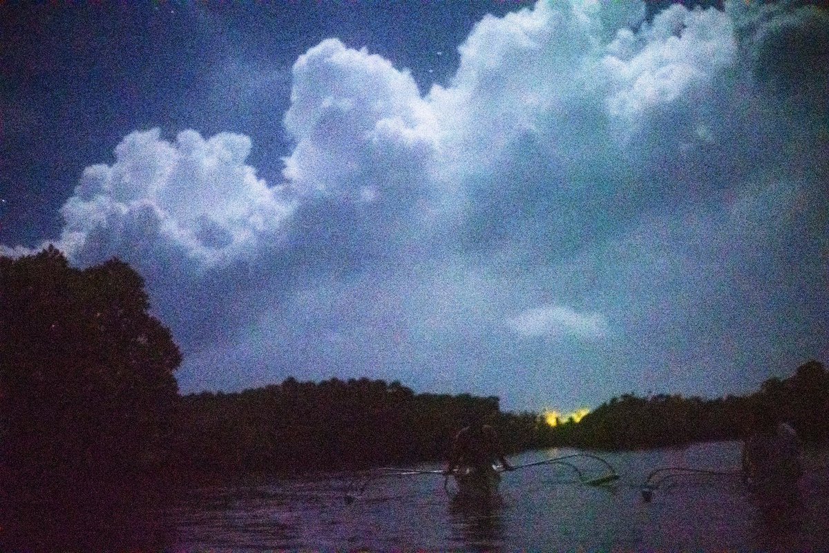 _nt03_'s tweet photo. Unmasking the Sky: 4 different pictures of Siargao Island at Night ✨

#siargao #travel #nightlife #nature https://t.co/Bbl24fXjvt