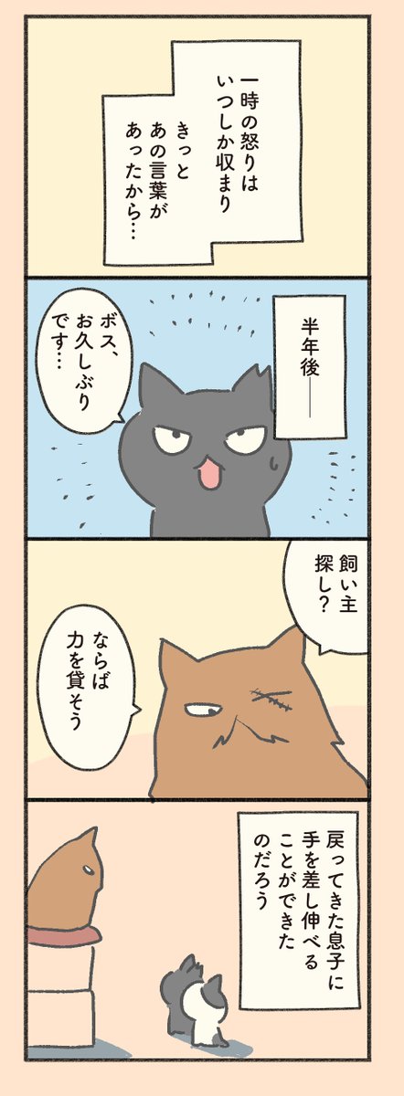 #もしも猫外伝 「菊次郎とふみ」その14    1日1ページ更新。  ここで(やっと)本編と繋がる