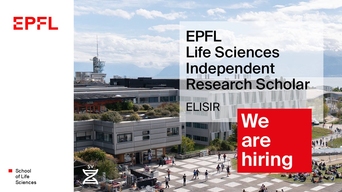 🌟 Exciting Opportunity 🌟
Join EPFL's School of Life Sciences as an ELISIR Scholar! We're seeking nominations for early career scientists, with a special call for women applicants.
🚀Apply by April 1, 2024: go.epfl.ch/ELISIR
#ELISIR #ResearchOpportunity #EPFL #WomenInSTEM