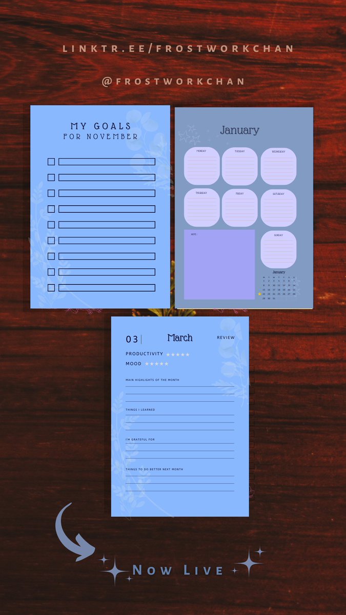 Frostworkchan's tweet photo. Ended up with 6 designs where each has 3 versions:

 1 hardcover with premium colors
 1 paper cover with premium colours
 1 paper cover with black and white interior 

May you achieve all of your dream goals! 💖 https://t.co/BSmpMq2HyD