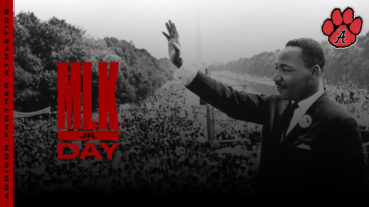 Addison AD tweet media