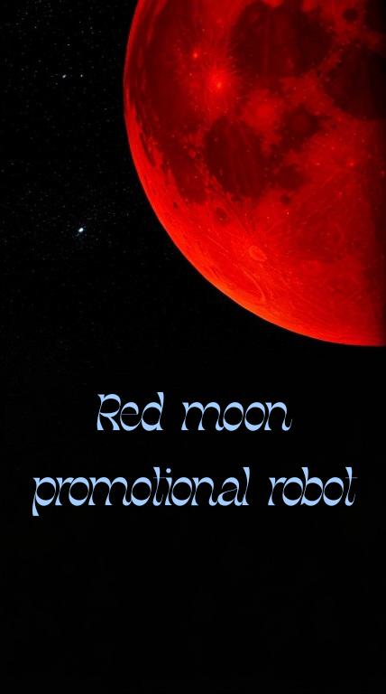 홍월 홍보봇 tweet media