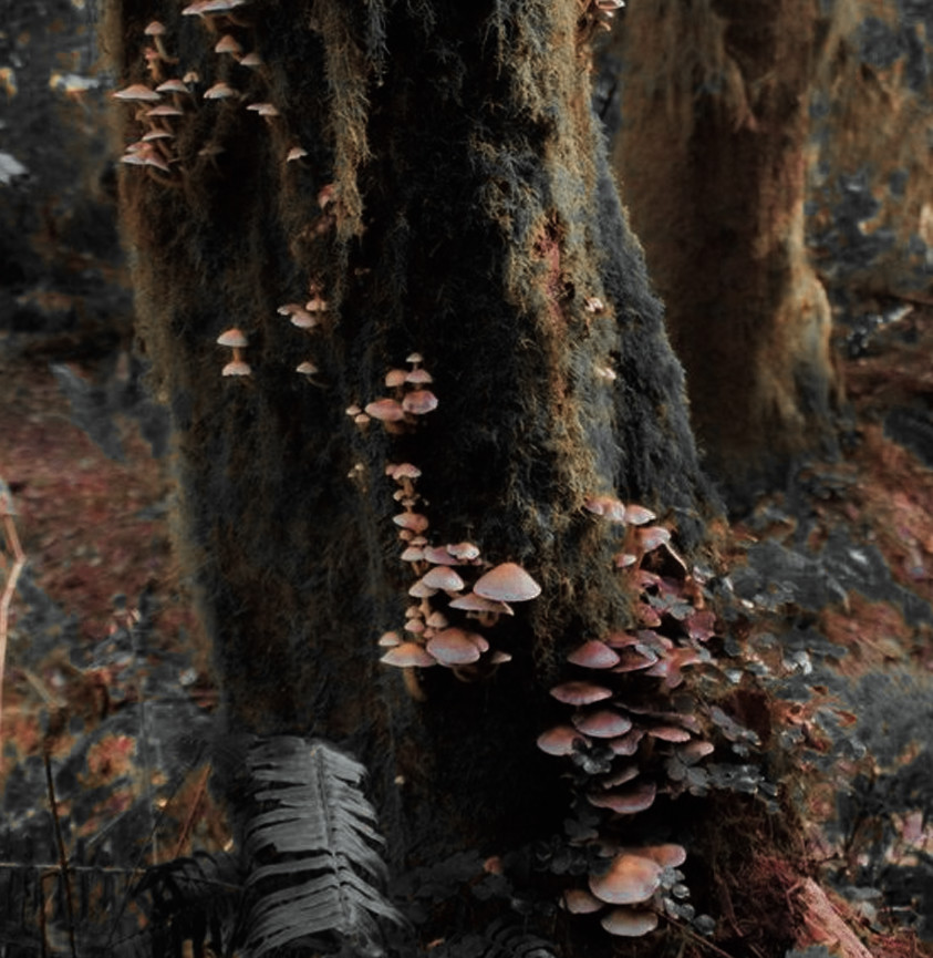 #OFF: 𝓣ʜᴇ 𝓟ʀᴏʟᴏɢᴜᴇ 𝓟romo tweet media