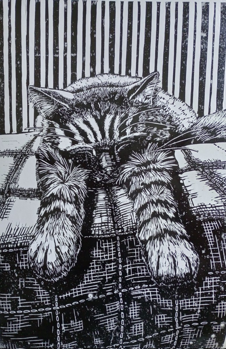 Jessica Rose tweet media