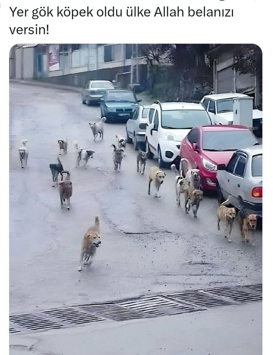 hughugkusu's tweet photo. Yahu vatandaş, yapay zeka kullanarak yalan haber yapacaksın, bari bunun iyisini kullan. Paralısı var bunun, biraz daha inandırıcı oluyor. Bu nedir Allah'ını seversen? https://t.co/nUuZLE7Y57