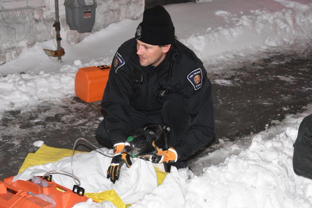 OttFire tweet picture