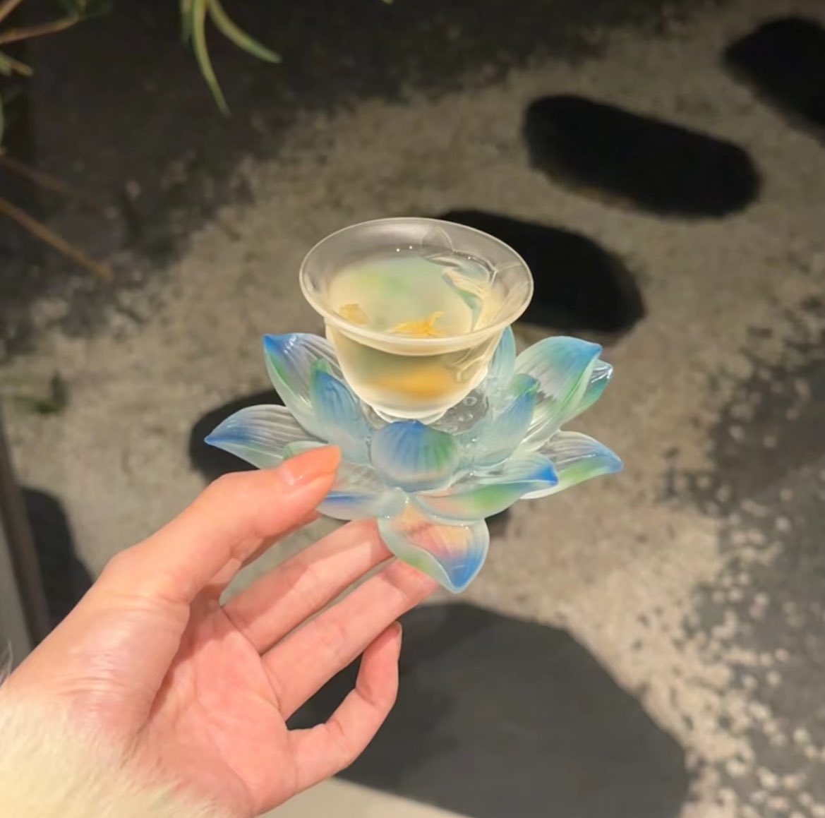 remotegirljp's tweet photo. 透明感が美しい茶器🌿 https://t.co/H4XvL60x8h