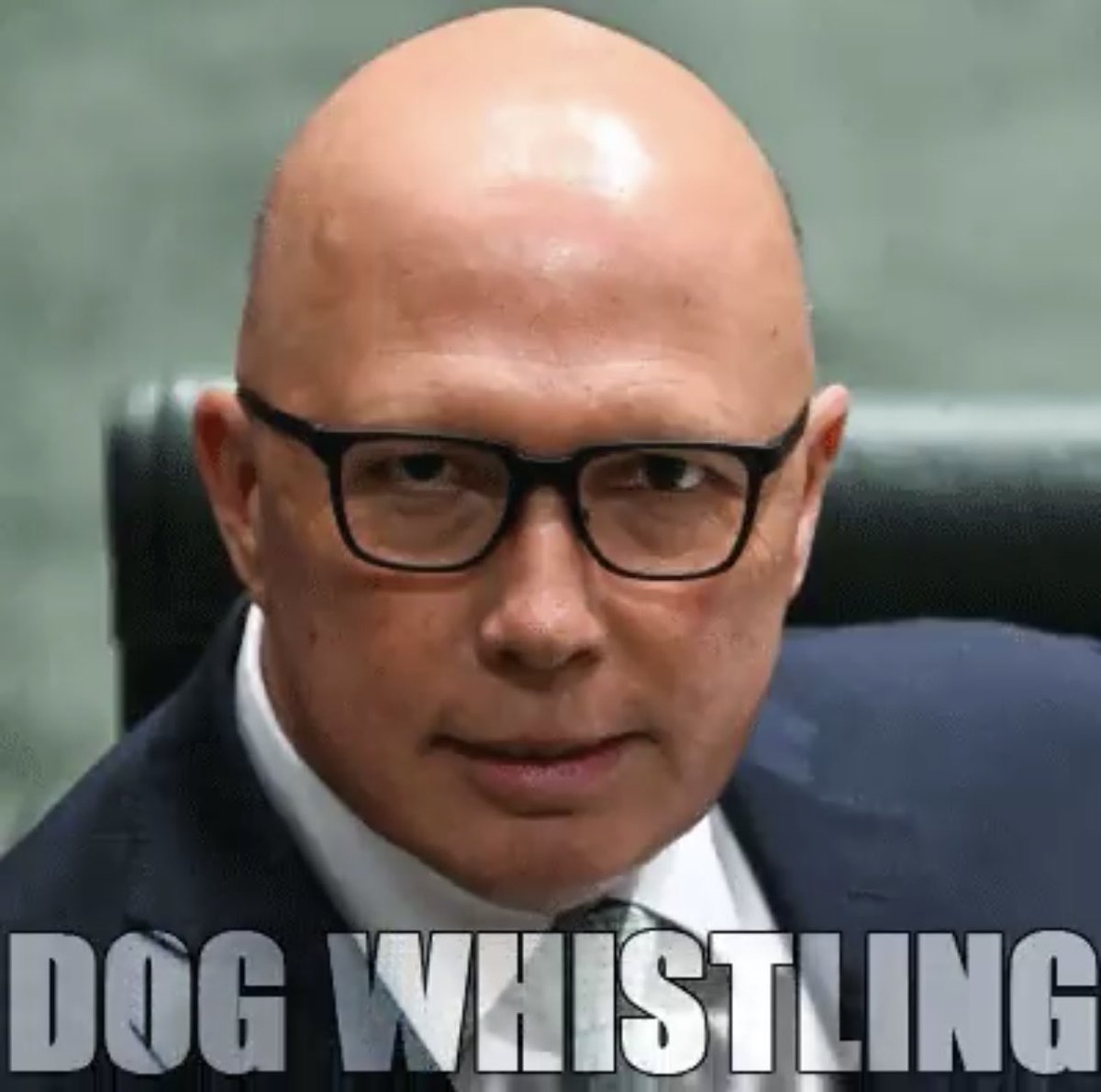 Like or repost if you think #DictatorDutton should resign. #IStandWithWoolies