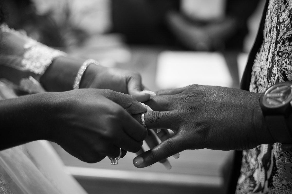 Estúdio Spades tweet media