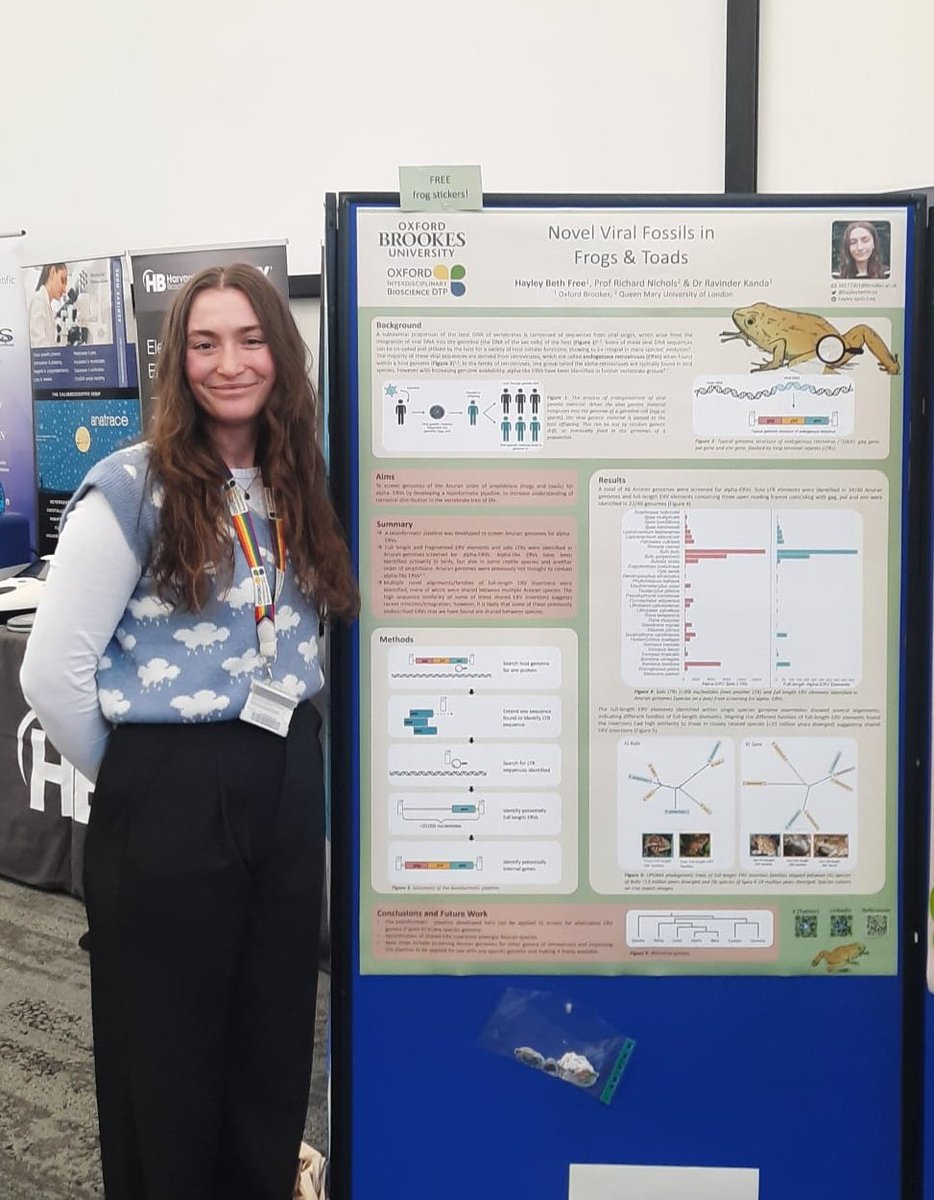 My poster at #HLSPGRS2024 @oxford_brookes - come by to hear about endogenous retroviruses in frogs and toads and get a free sticker! 🐸🧬