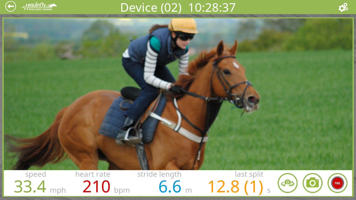 equinitytech's tweet photo. Watch and listen to your horse’s speed, heart rate and stride length in real-time. Capture and record your exercises with on-screen stats - all available for a great price! What are you waiting for? https://t.co/tn7MlnGN1u https://t.co/tefSHHv7i4