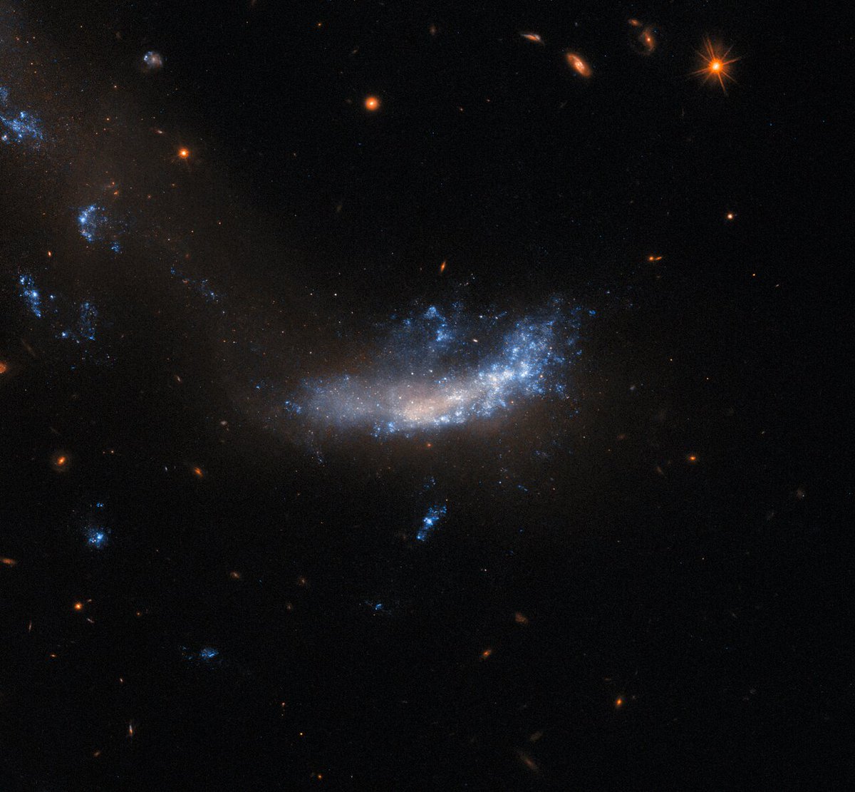 📷This NASA/ESA <a href="/HUBBLE_space/">HUBBLE</a> Telescope image features a relatively small galaxy known as UGC 5189A.

This galaxy was observed by Hubble to study a supernova explosion, SN 2010jl, which was an exceptionally luminous event. 

In fact, over a period of three years, SN 2010jl