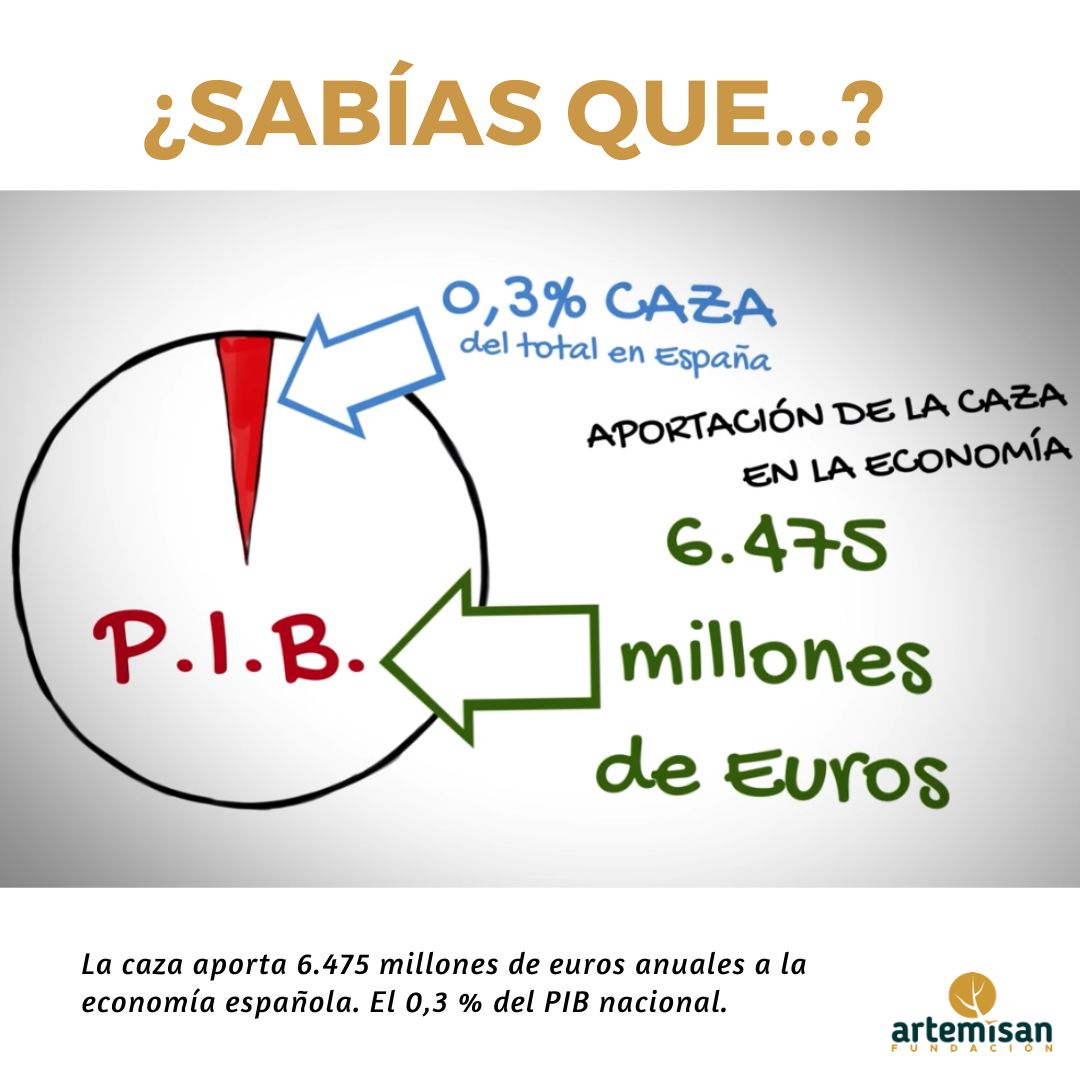 🧐 ¿Sabías que la caza aporta 6.475 millones de euros anuales a la economía española? Esto supone un 0,3 % del PIB nacional y, además, en su mayoría se trata de inversiones en el mundo rural, el campo y la España despoblada. Descubre más en: 🎥 youtu.be/m2RdCTrsxG0?