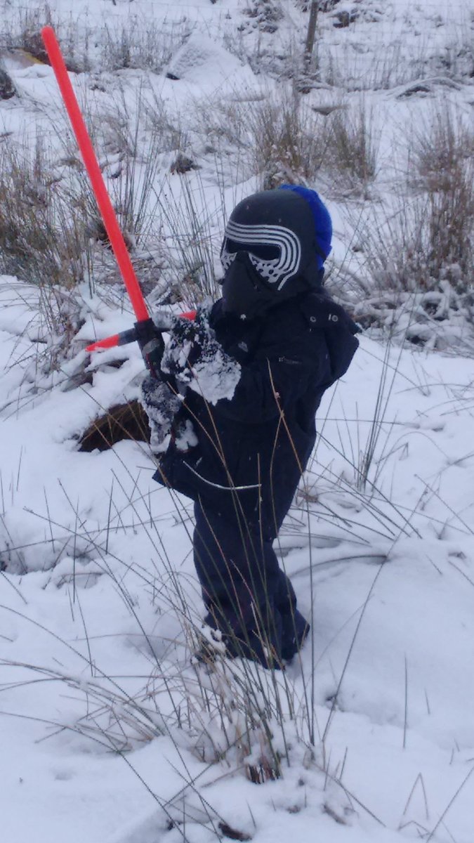 Fencing on <a href="/BHFencing/">Bellahouston Fencing</a> this evening.