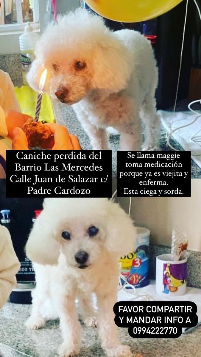 mmvm25's tweet photo. Compartir por favor! https://t.co/hbvU77PUEi