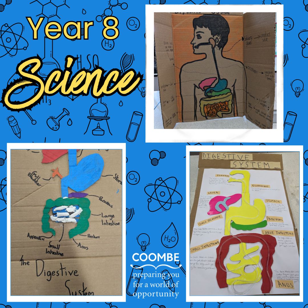 CoombeBoysNews's tweet photo. Congratulations to all of our Year 8s for competing in our Autumn Term Science Competitions before Christmas! They were tasked with creating a model digestive system using items they could find at home!
#CBSScienceTeam https://t.co/Hkp3AQPz2j