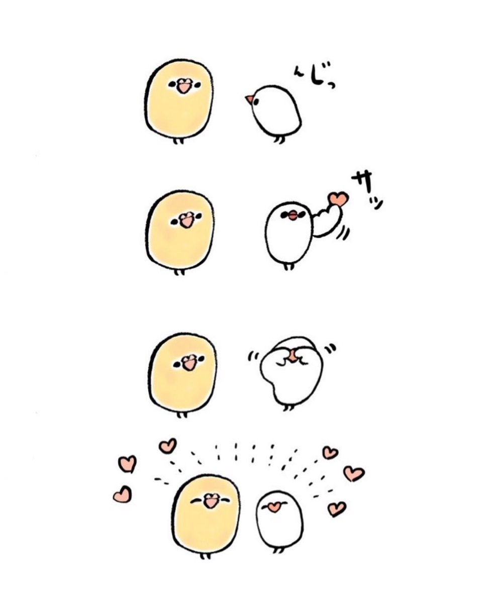 明日も20〜21時にイラスト投稿します🐦 『セキセイさんのお鼻はハートのかたち』(再掲)