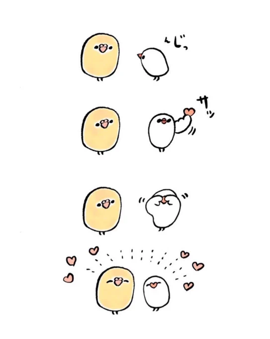明日も20〜21時にイラスト投稿します🐦 『セキセイさんのお鼻はハートのかたち』(再掲)